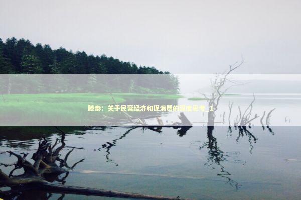 滕泰:关于民营经济和促消费的深度思考_1 滕泰:关于民营经济和促消费的深度思考_1 新闻