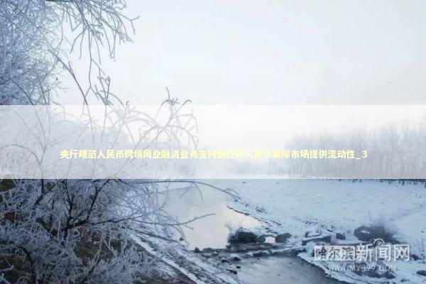 央行规范人民币跨境同业融资业务支持银行向人民币离岸市场提供流动性_3 新闻