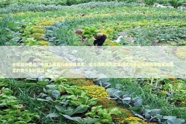 全国政协委员、中国人民银行参事魏革军：货币政策将为实现经济社会目标任务创造更加适宜的货币金融环境_5 新闻