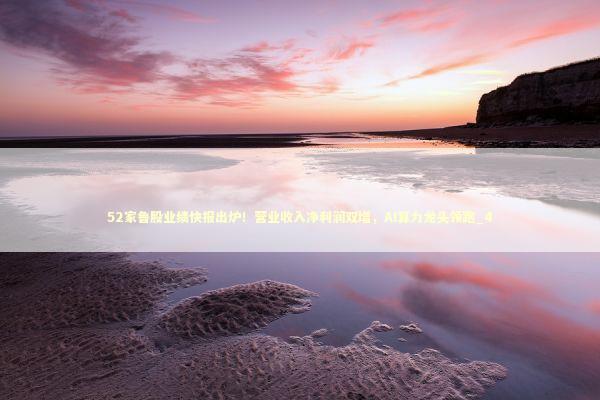 52家鲁股业绩快报出炉！营业收入净利润双增，AI算力龙头领跑_4 新闻