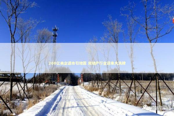 200亿央企退市引地震 房地产行业迎来大洗牌 新闻