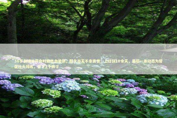 36岁副镇长开会时脑出血晕倒，除夕当天不幸离世：上任仅10余天，最后一条动态为督促社火排练，留下3个孩子 新闻