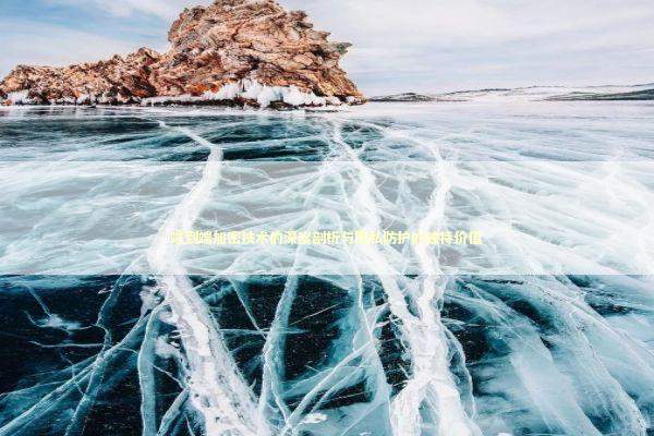 端到端加密技术的深度剖析与隐私防护的独特价值 新闻