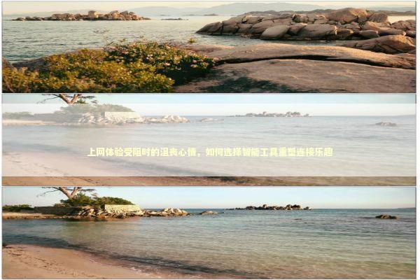 上网体验受阻时的沮丧心情，如何选择智能工具重塑连接乐趣
