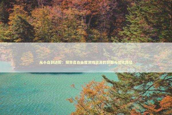 从小白到进阶：探索高自由度游戏资源的获取与优化路径