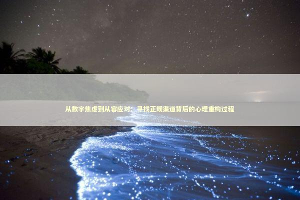 从数字焦虑到从容应对：寻找正规渠道背后的心理重构过程 IT技术