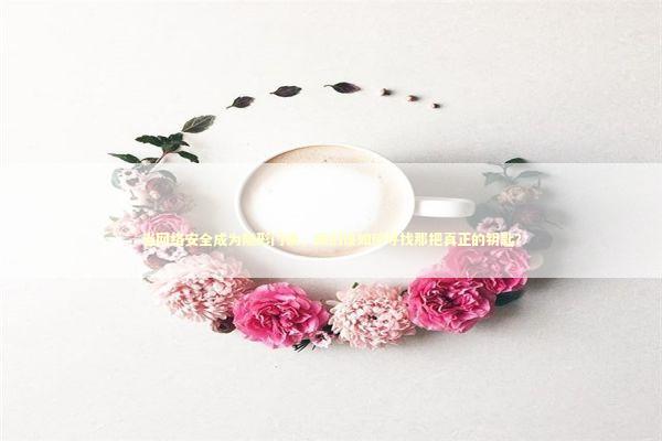 当网络安全成为隐形门锁，我们该如何寻找那把真正的钥匙？ IT技术