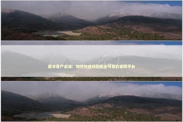 新手用户必读：如何快速找到安全可靠的官网平台 IT技术