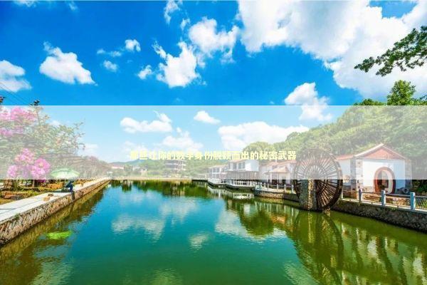 那些让你的数字身份脱颖而出的秘密武器 IT技术