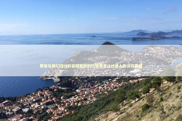 那些年我们找过的官网背后的行业变革让过来人告诉你真相